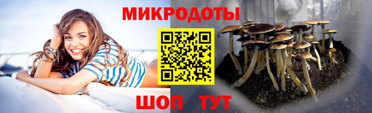Псилоцибиновые грибы мухоморы Казань